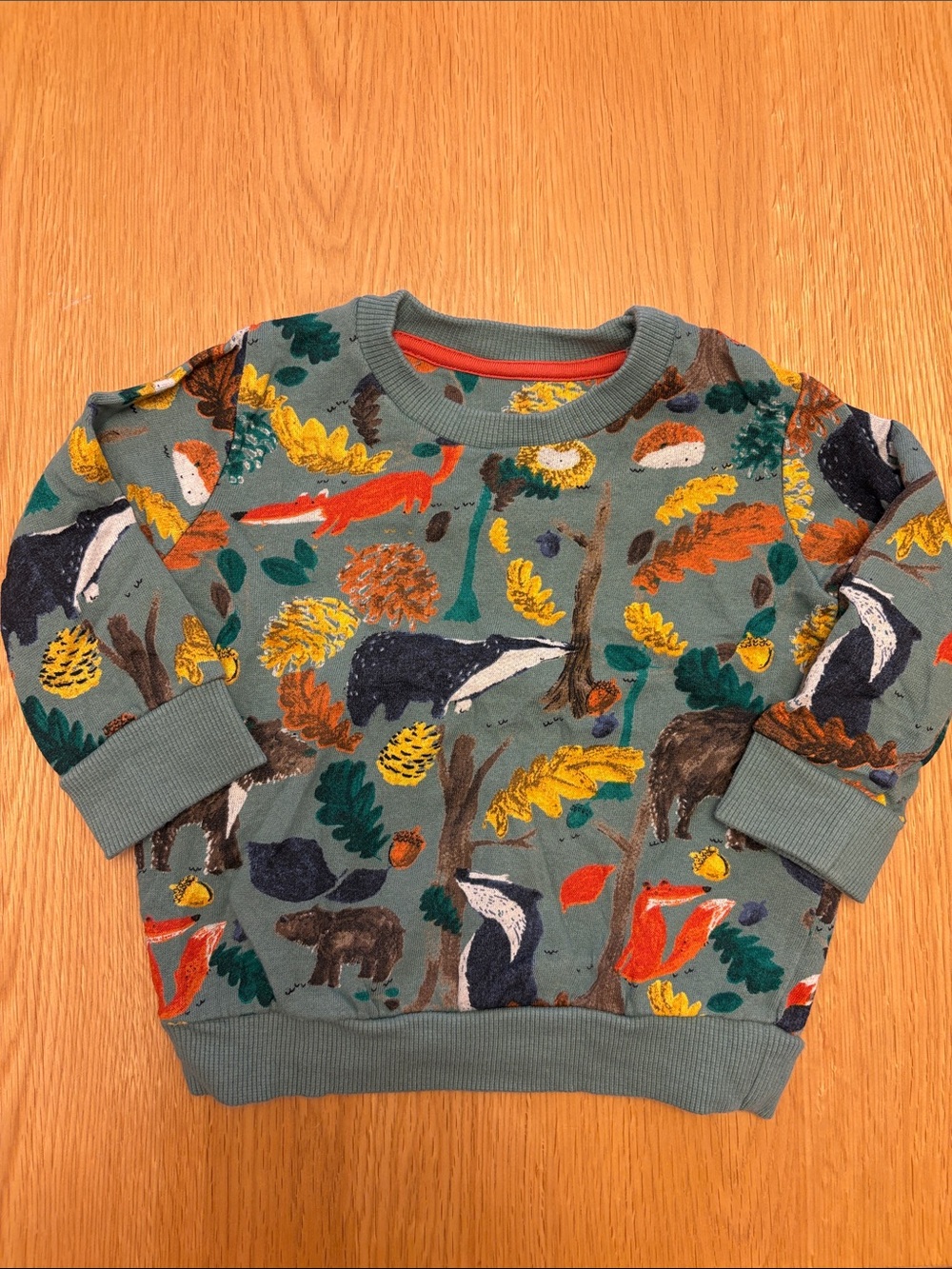 Baby Fall Green Woodland Animals Sweatshirt 6-9 months